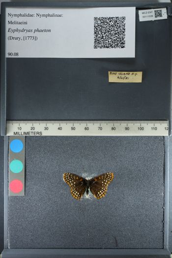 Media type: image;   Entomology 111539